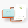 Card box set - toolpress/Spring bird