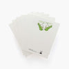 Card box set - toolpress/Spring bird
