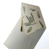 Letter set - Olea Europaea