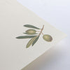 Letter set - Olea Europaea
